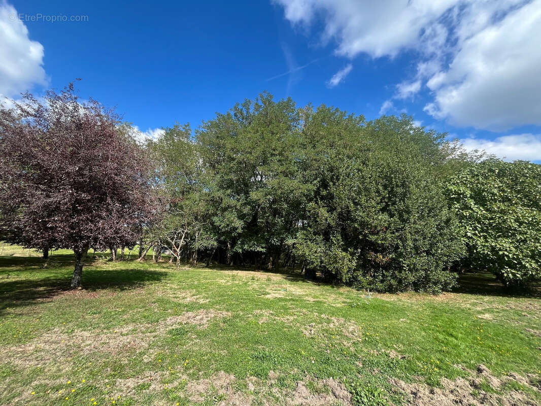 Maison à LIGNAN-DE-BORDEAUX
