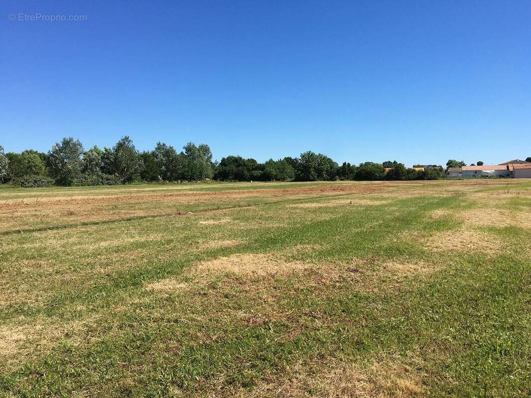 Terrain à VAIRE