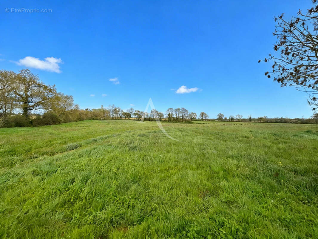 Maison à LE BERNARD