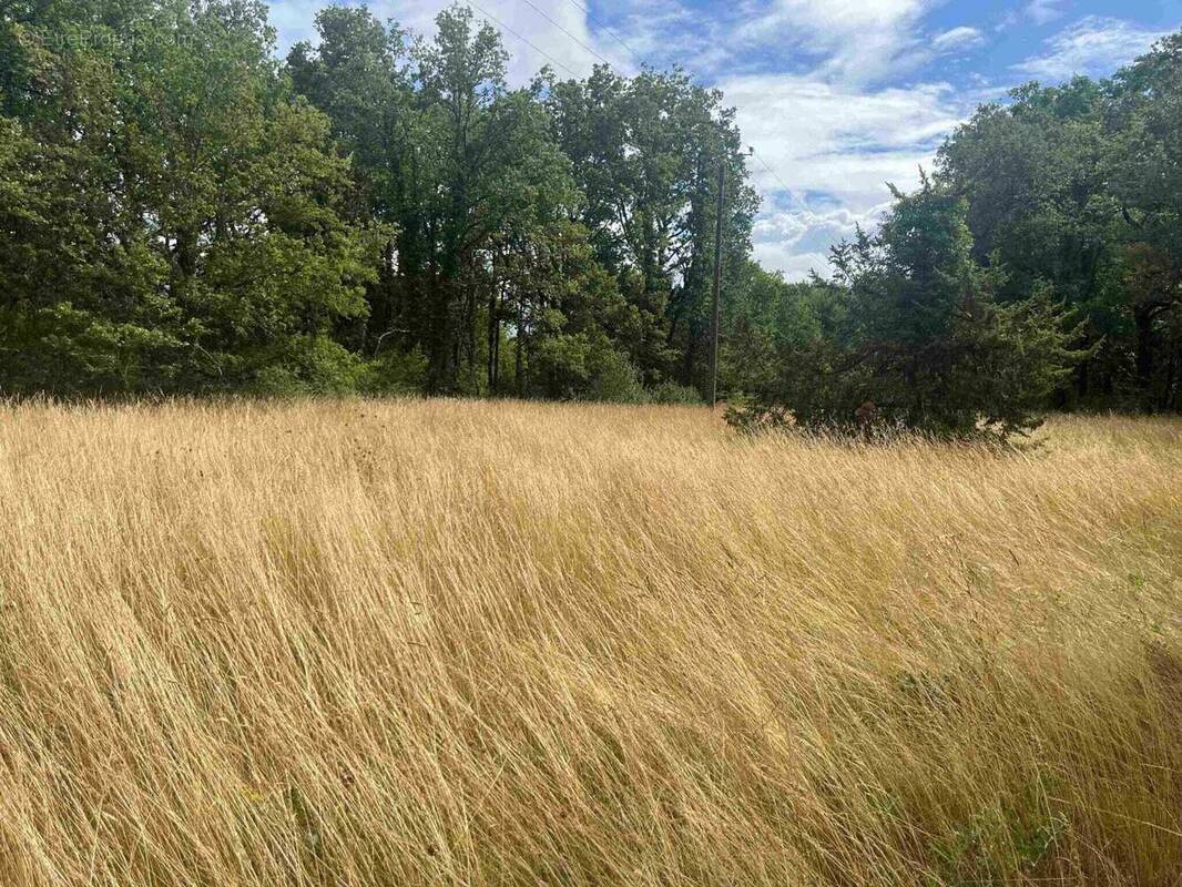 Terrain à CAHORS