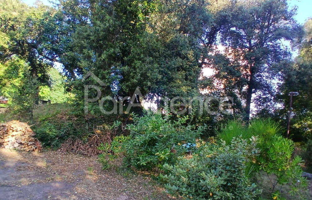 Terrain à VAUX-SUR-MER