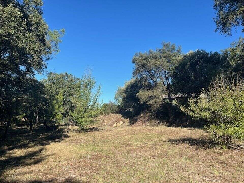 Terrain à VIDAUBAN