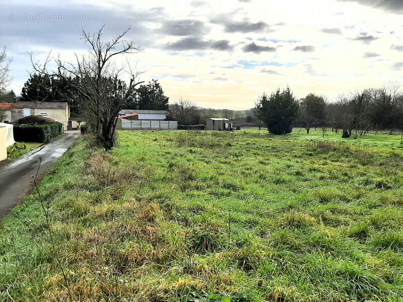Terrain à MARSAIS-SAINTE-RADEGONDE