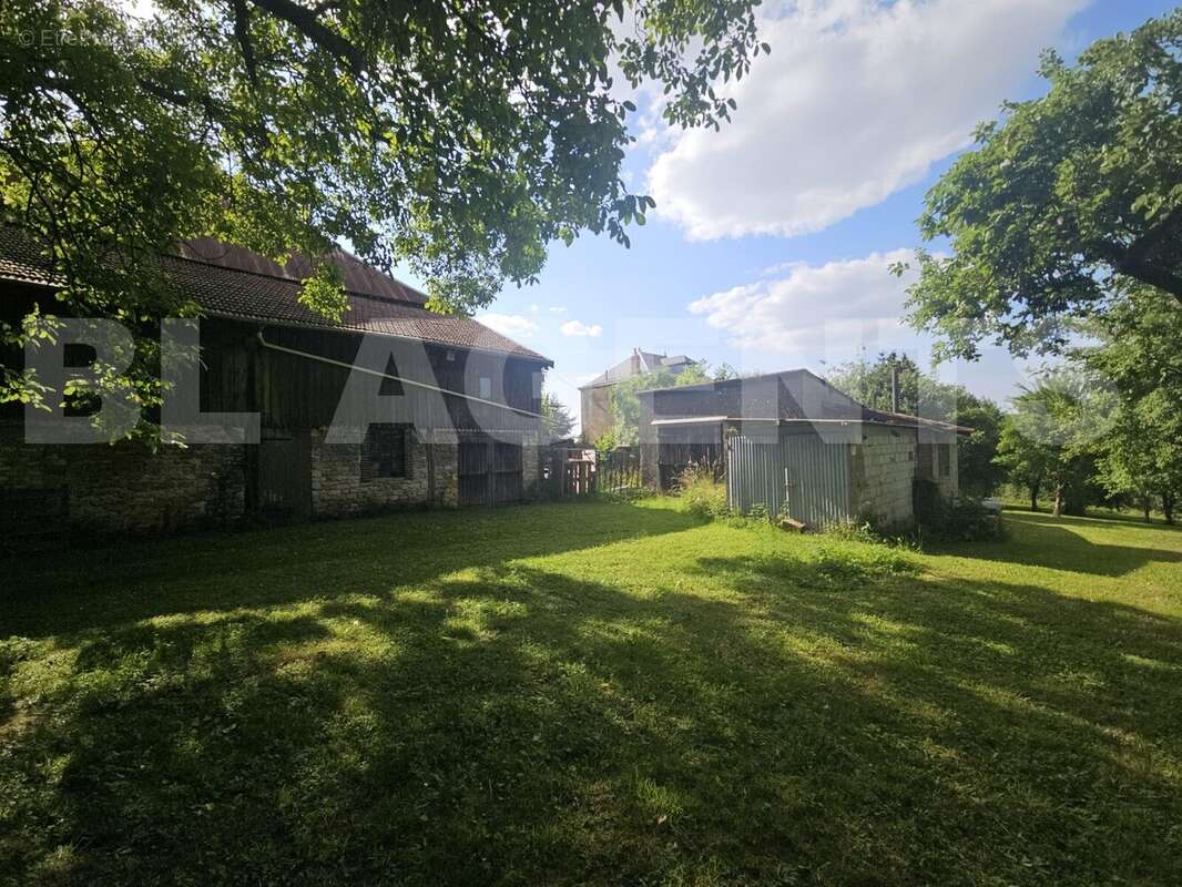 20250617_173716 - Terrain à BRIEULLES-SUR-BAR