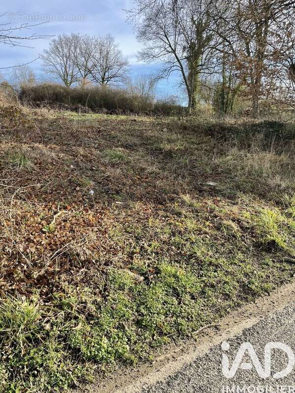 Photo 3 - Terrain à CHAILLY-EN-BRIE