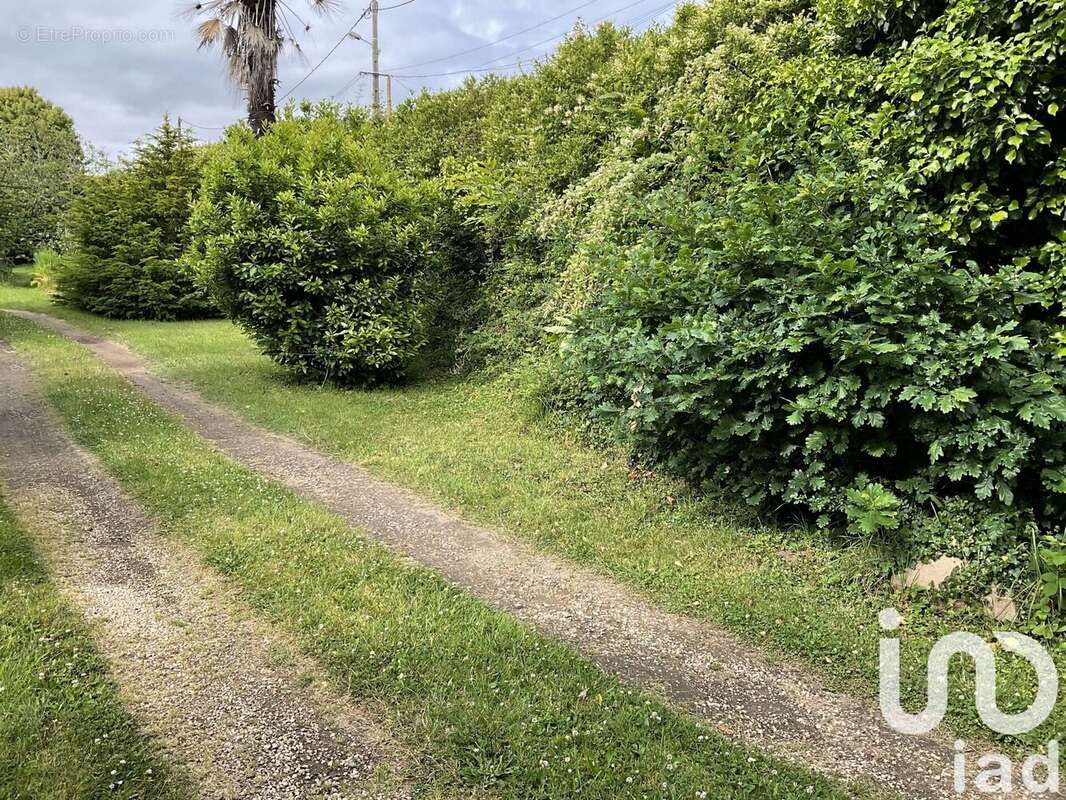 Photo 6 - Terrain à PERROS-GUIREC