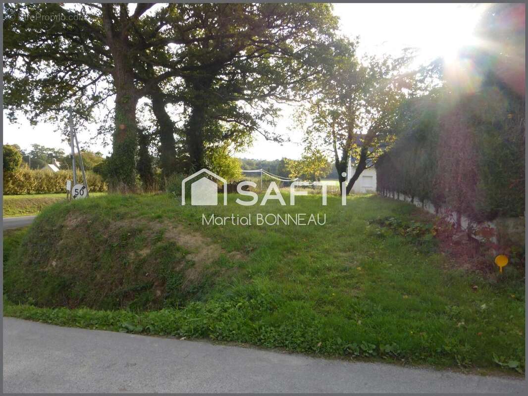 Photo 3 - Terrain à ALLAIRE
