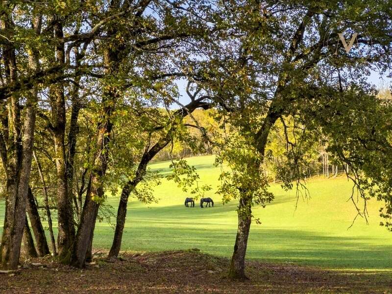 Propriété équestre d’exception implantée sur 21 hectares d’un seul tenant, à proximité de THEZAC (47) - photo 25