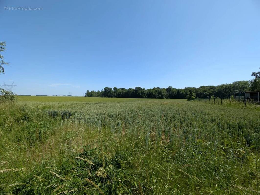 Terrain à LA FERTE-SOUS-JOUARRE