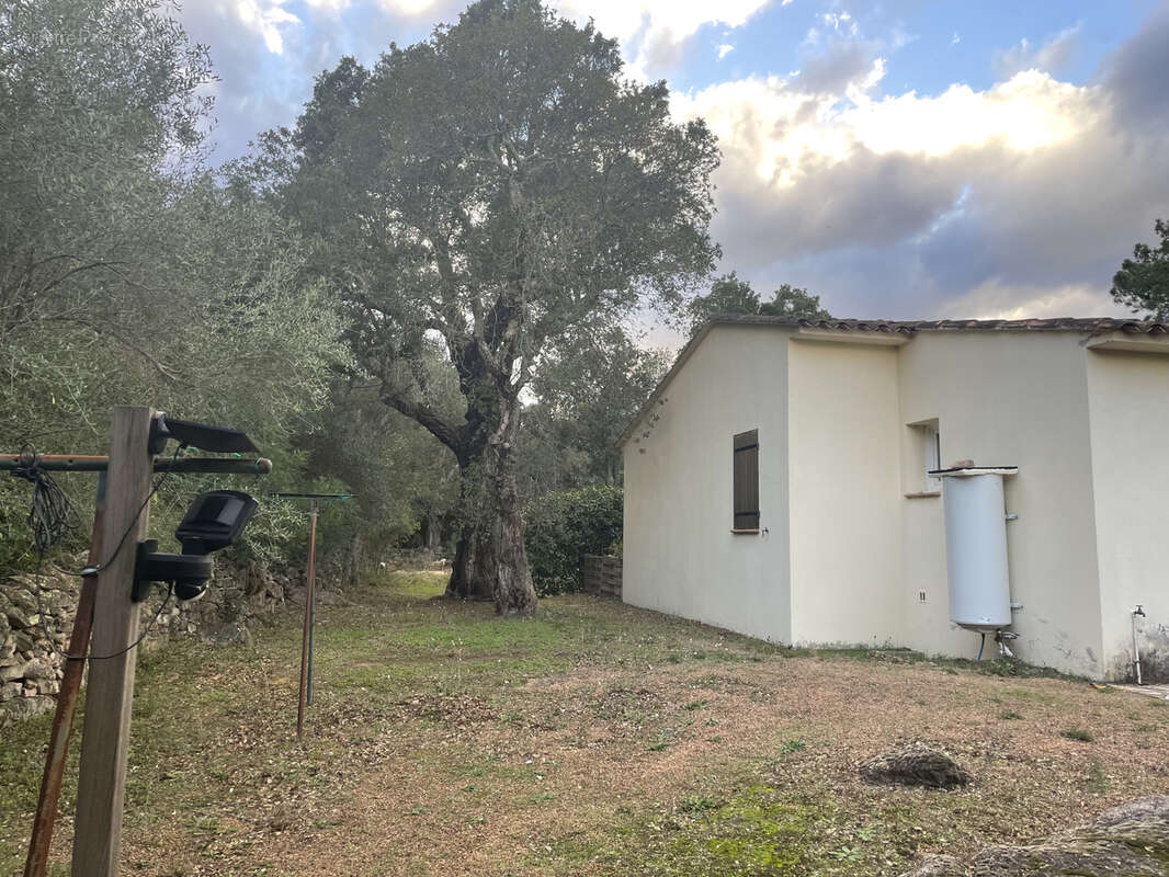 Maison à PORTO-VECCHIO