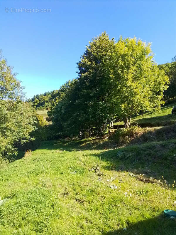 Maison à ANTRAIGUES-SUR-VOLANE