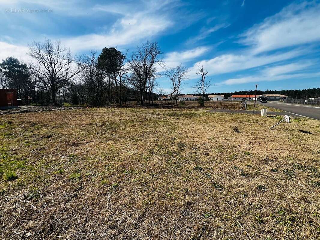 Terrain à PARENTIS-EN-BORN