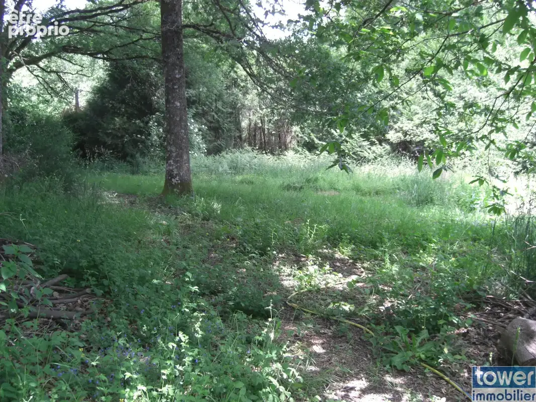 Perigord terrain constructible - photo 3