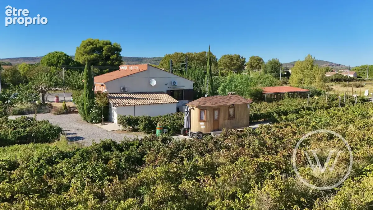 Commerce 160 m² à vendre à Mireval (34110) - photo 4