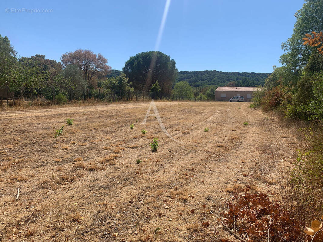 Terrain Montolieu 1508 m2 - photo 6