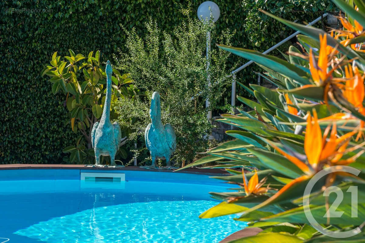 Maison à CAP-D&#039;AIL