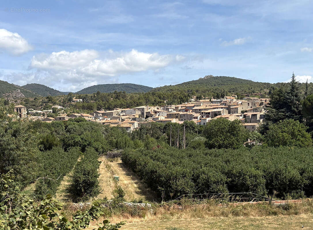Maison Caunes -Minervois 6 pièce(s) 214 m2 - photo 18