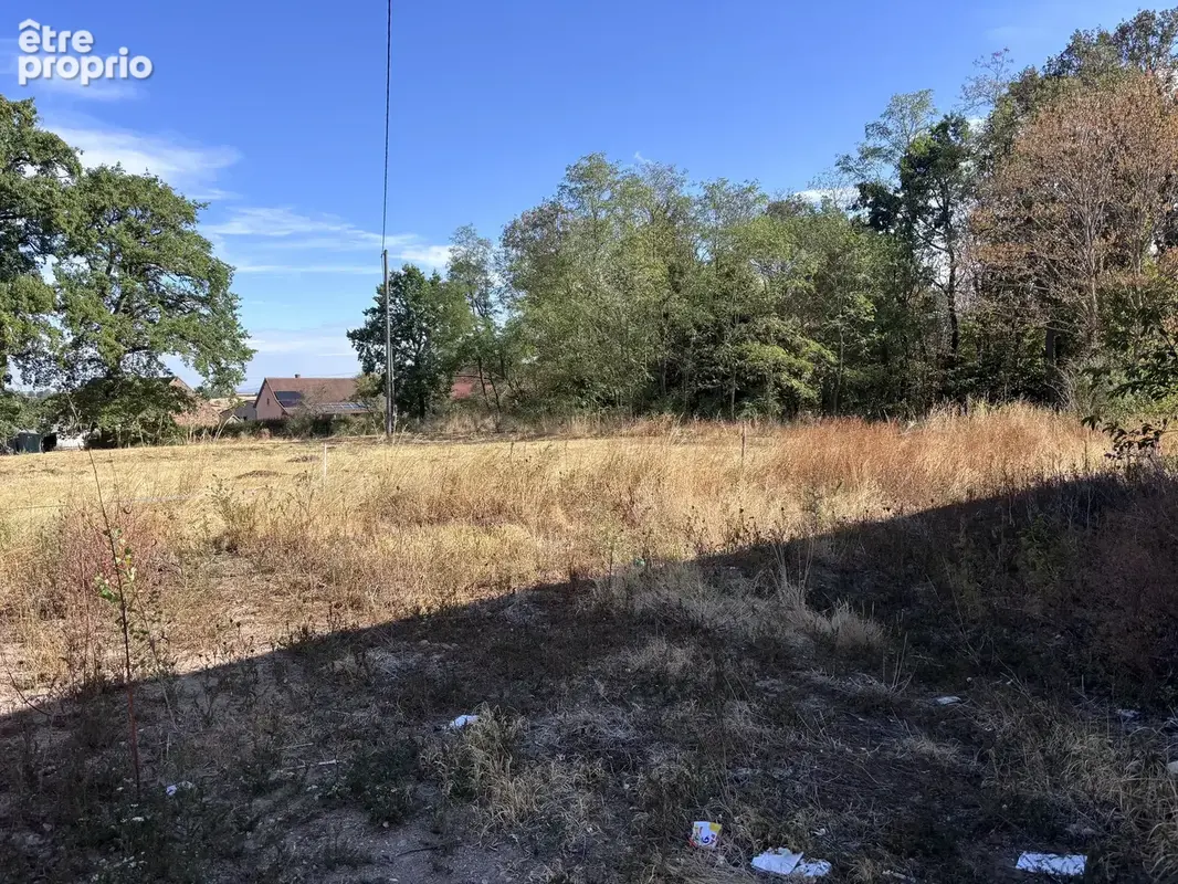 Le Donjon - Ferme à rénover avec une grande grange et des dépendances, sur un terrain de plus de 3 hectares co - photo 31