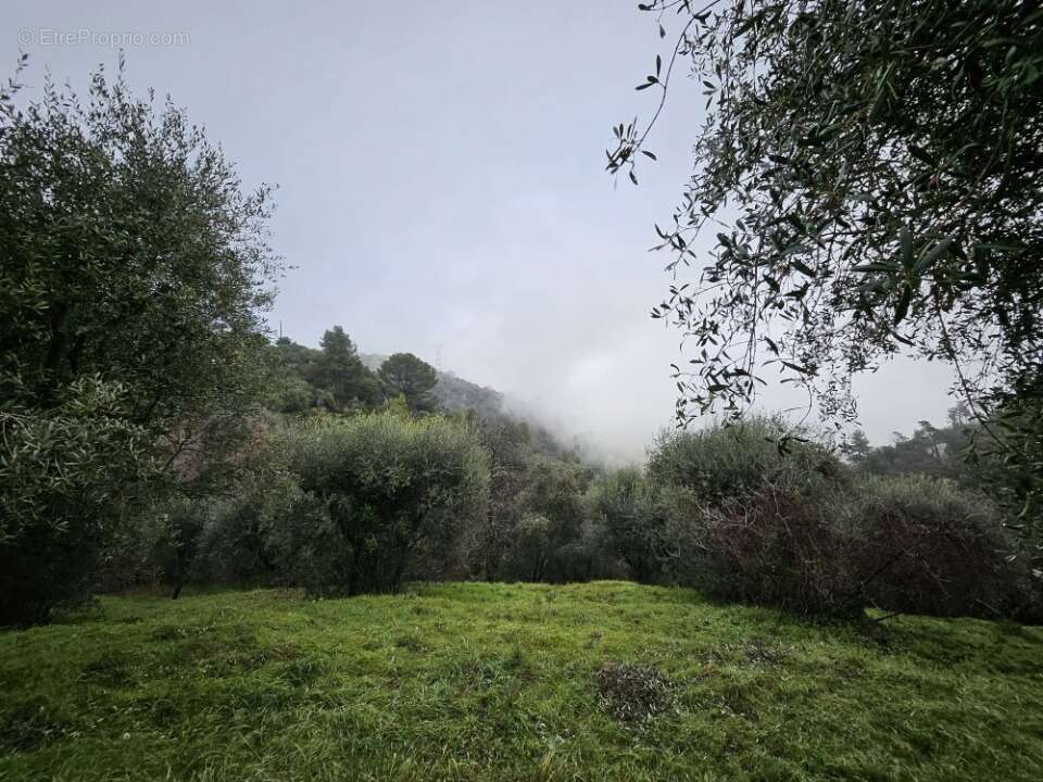 Terrain à BERRE-LES-ALPES