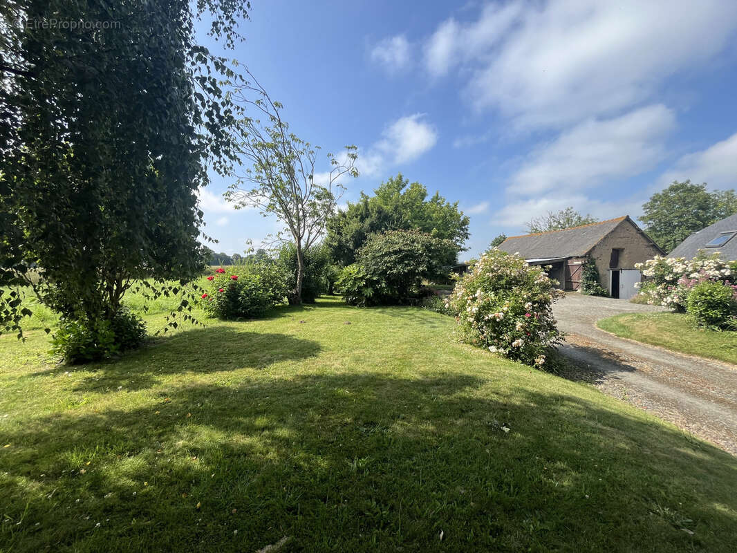 Maison à SAINT-TRIMOEL