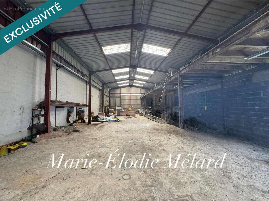 Photo 2 - Appartement à MANGIENNES