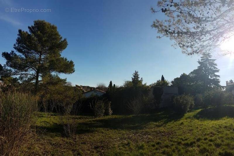 Terrain à MONTPELLIER