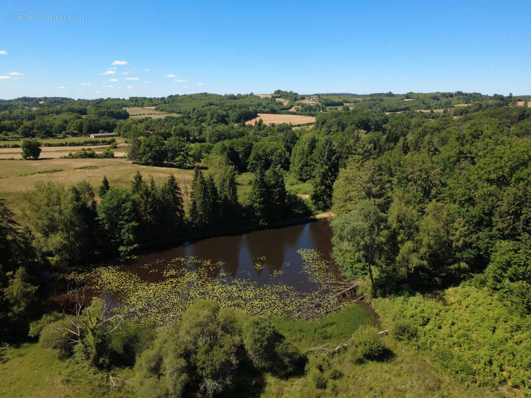 Proche Saint Yrieix La Perche - photo 16
