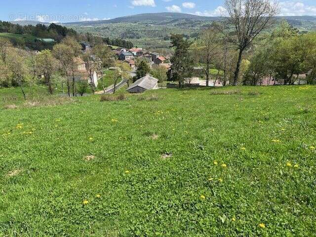 Terrain à SAINT-LEGER-DU-MALZIEU
