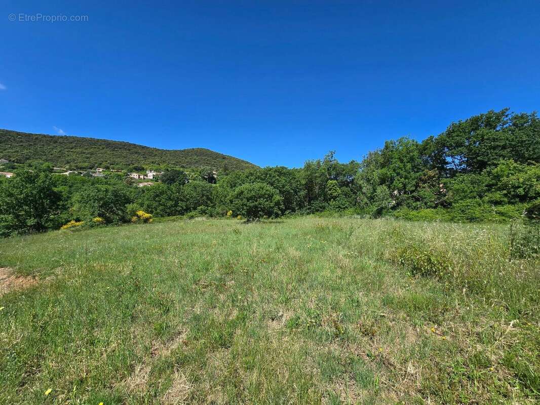 Terrain 2295 m² à Le Pradal  - photo 6