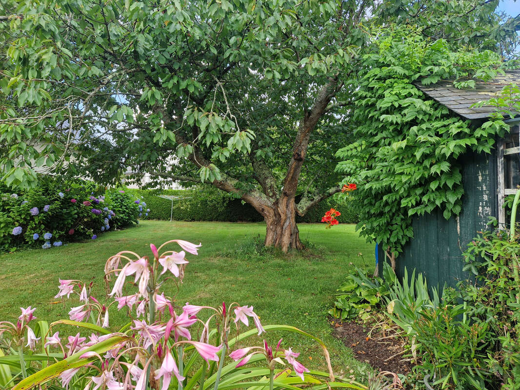 Maison à LE MINIHIC-SUR-RANCE