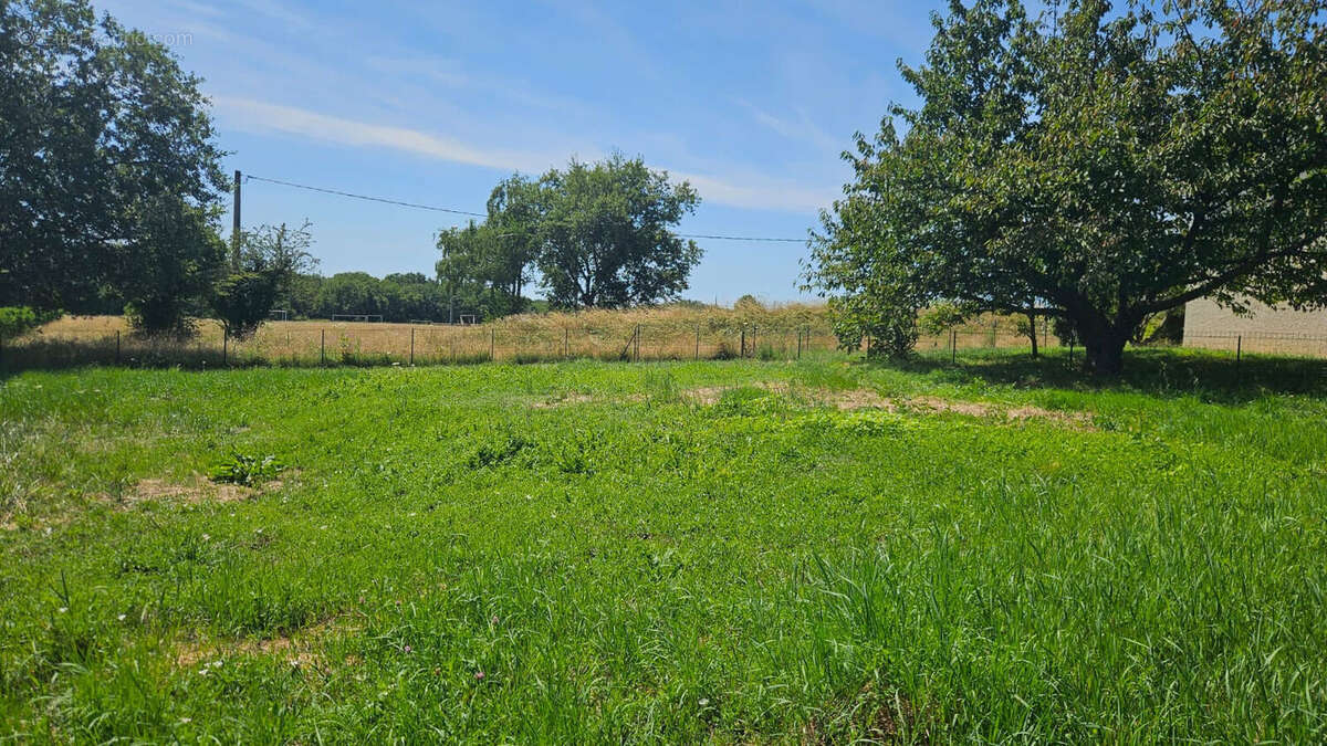 Photo 2 - Terrain à SAINT-CYR-SUR-LE-RHONE