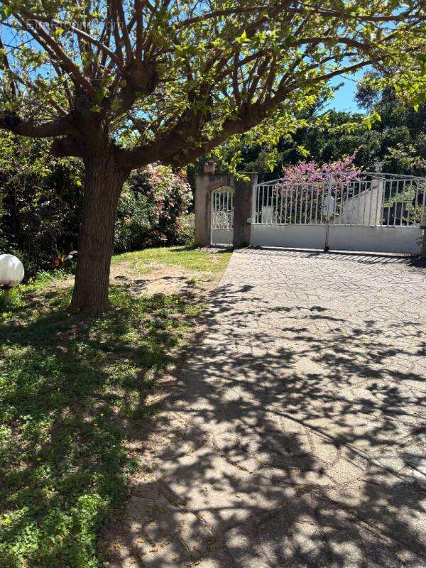 Appartement à PENTA-DI-CASINCA