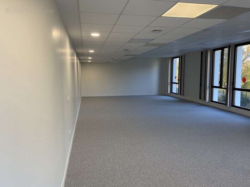 Commerce à TOULOUSE