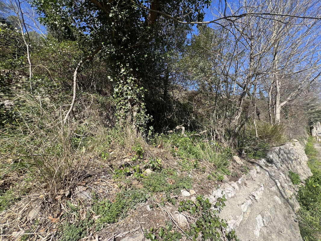 Terrain à SAINT-GUILHEM-LE-DESERT