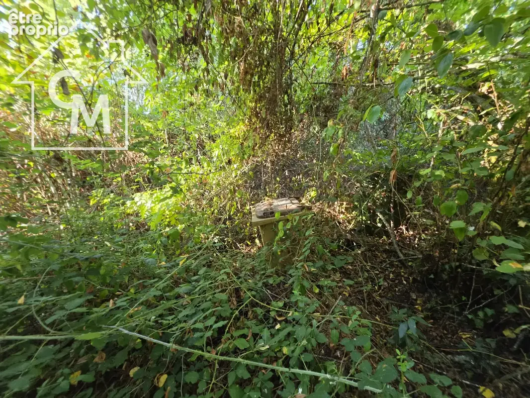 Maison à rénover entièrement avec dépendances et terrain - photo 41