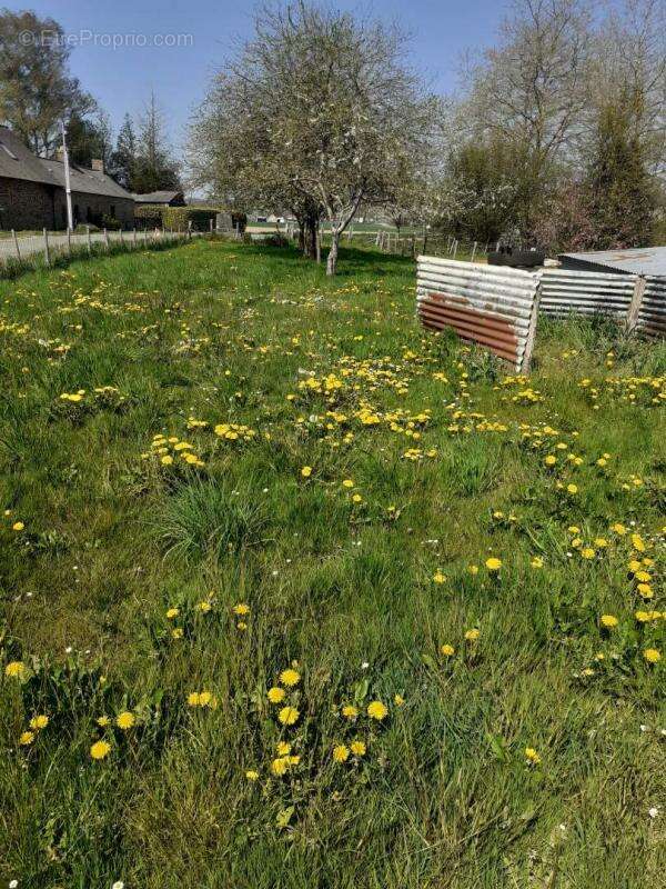 Maison à SAINT-PIERRE-DES-LANDES