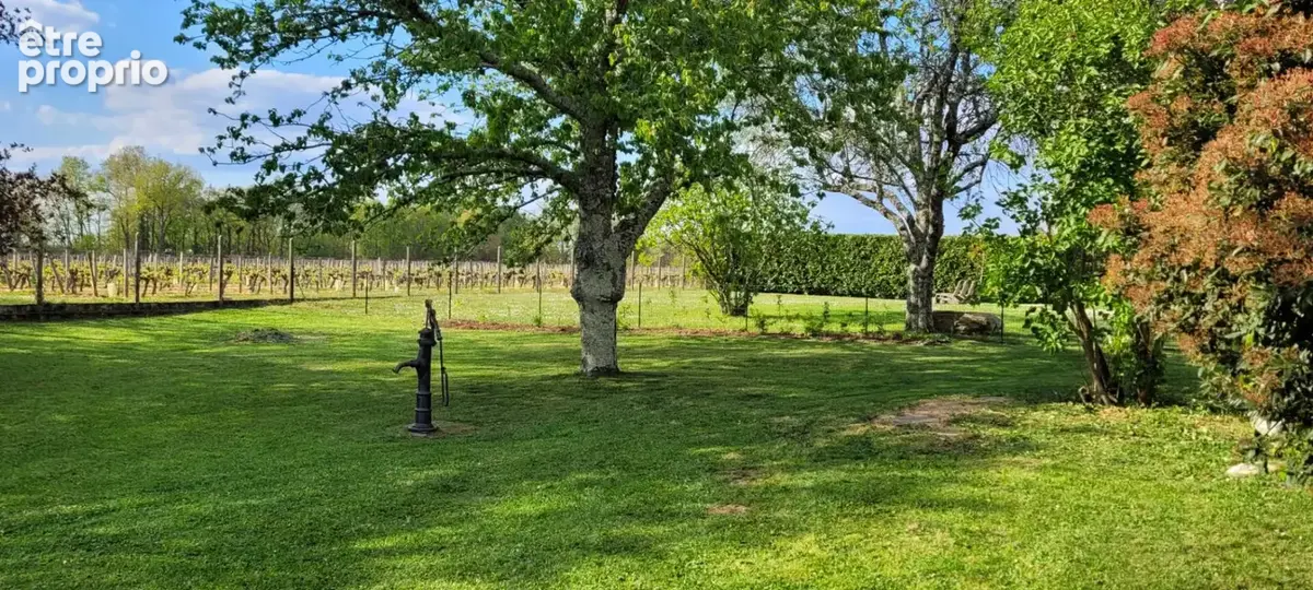 Belle girondine au calme avec vue sur les vignes + gîte haut de gamme - photo 13