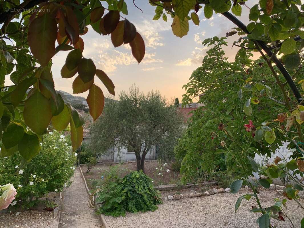 Terrain à MARSEILLE-9E