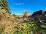 Terrain à SAINT-JAMMES
