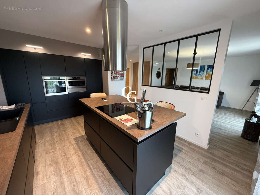 Maison à VIEILLEVIGNE