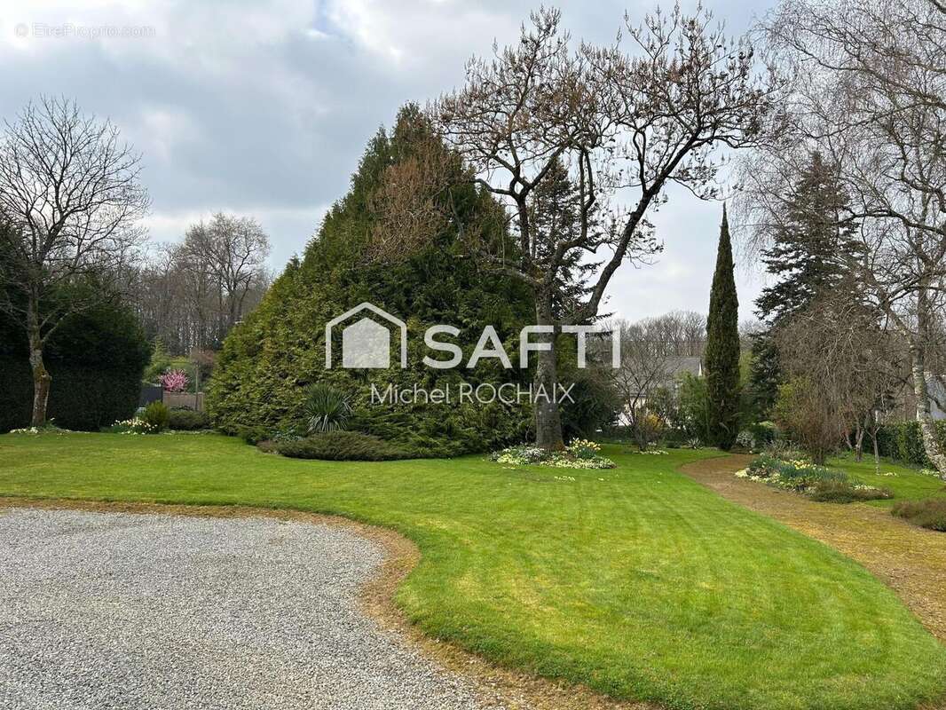 Photo 3 - Maison à ORGERES