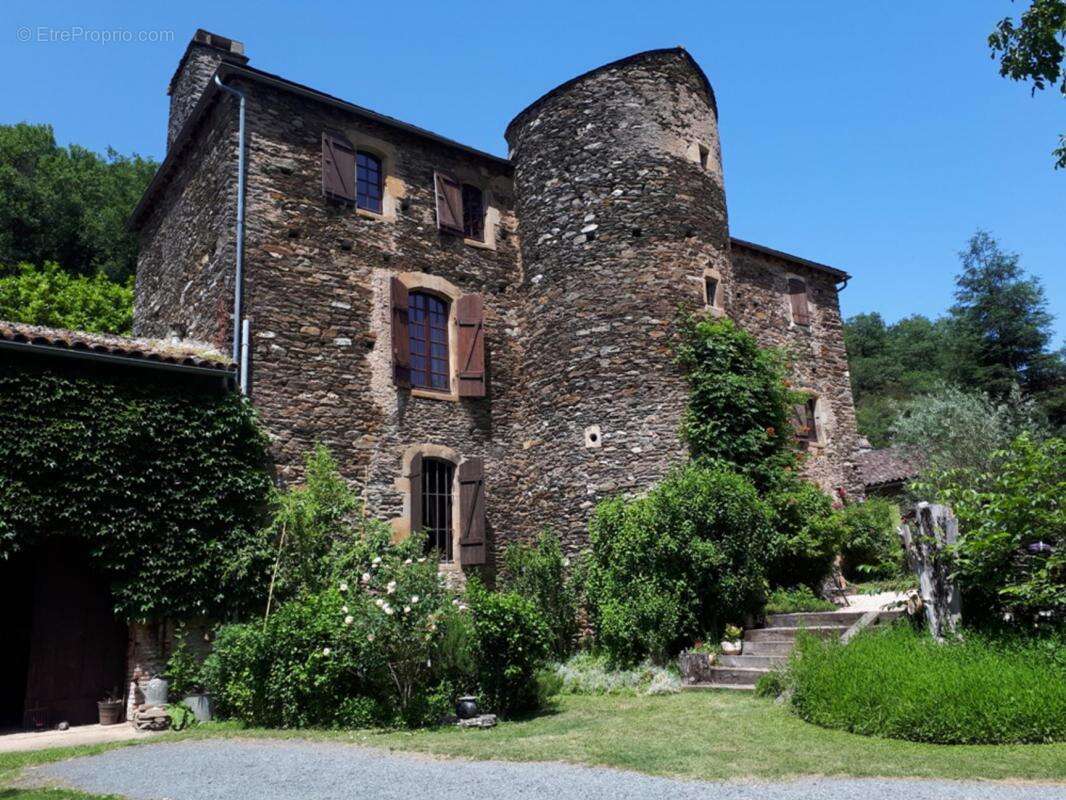 Chateau medieval - photo 2