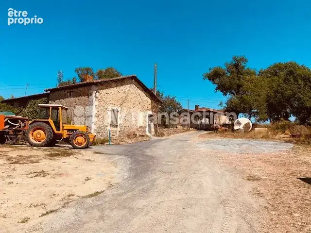 Maison 274 m² à vendre à Roussines (16310) - photo 11