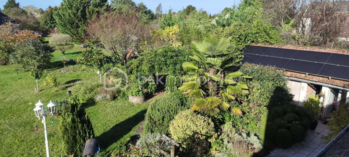 Maison à OUZOUER-SUR-LOIRE