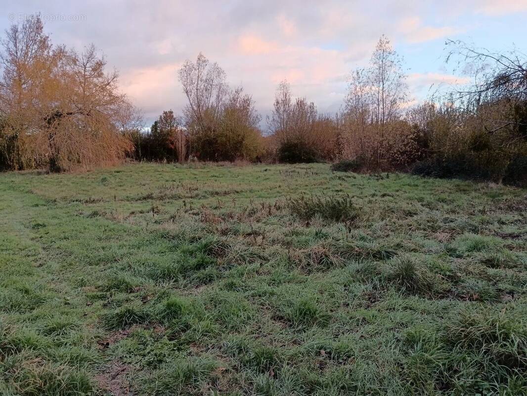 Terrain à NUEIL-LES-AUBIERS