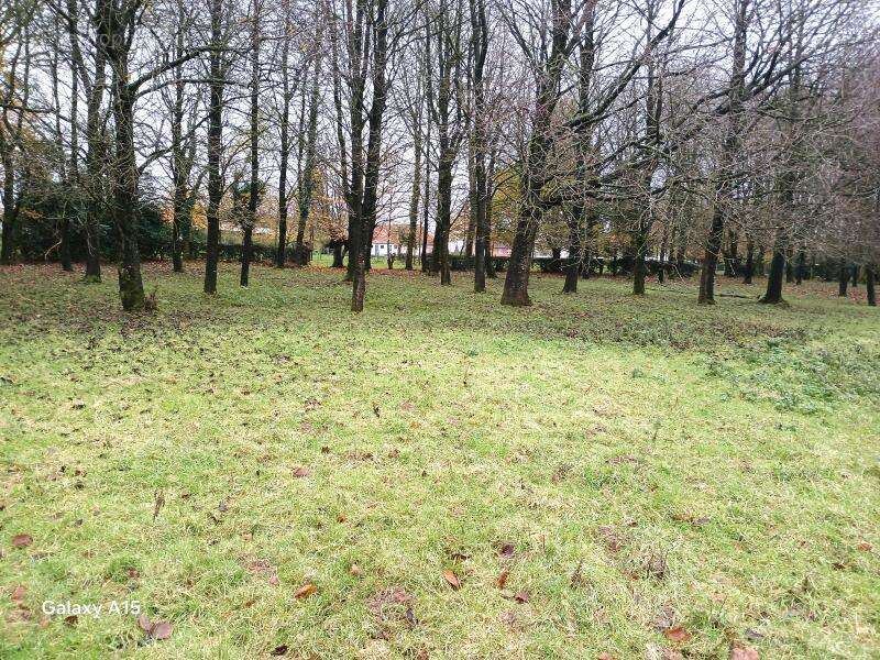 Maison à QUOEUX-HAUT-MAINIL