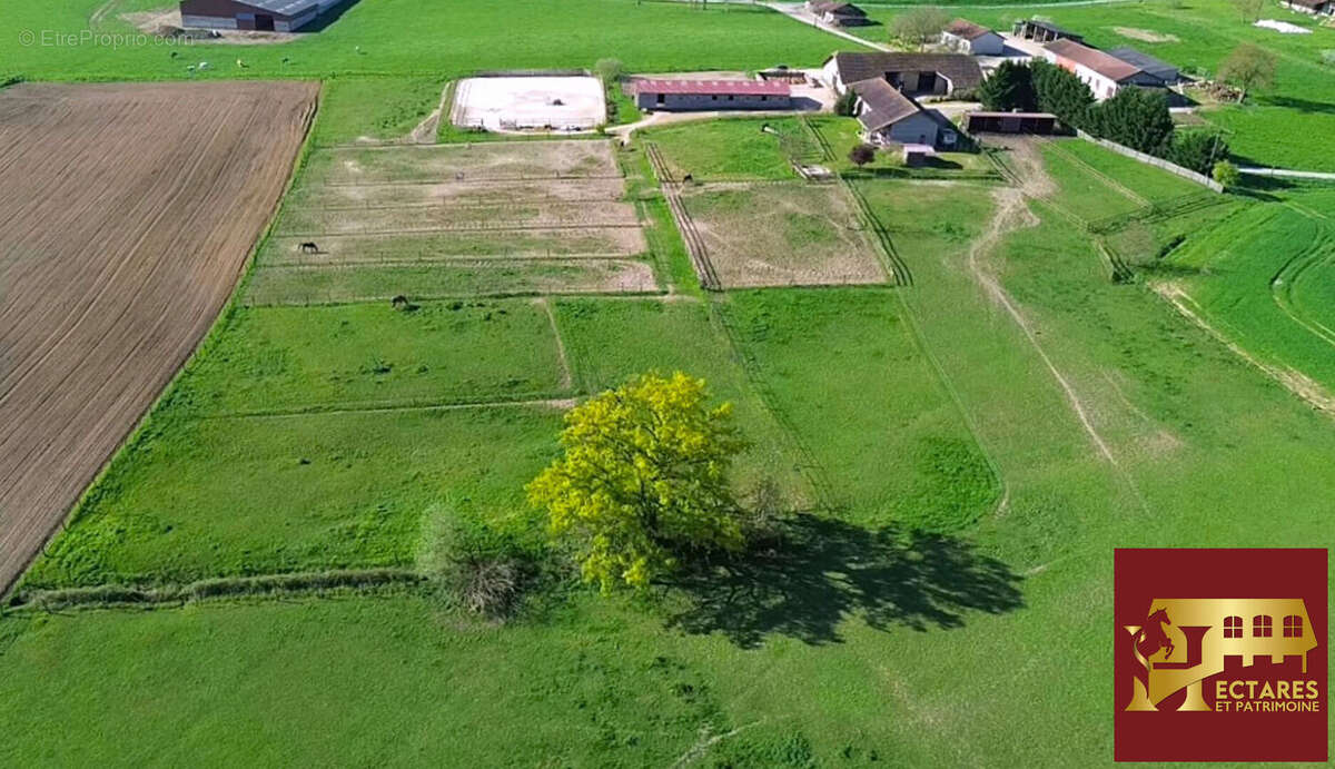 Maison à SAINT-TRIVIER-DE-COURTES