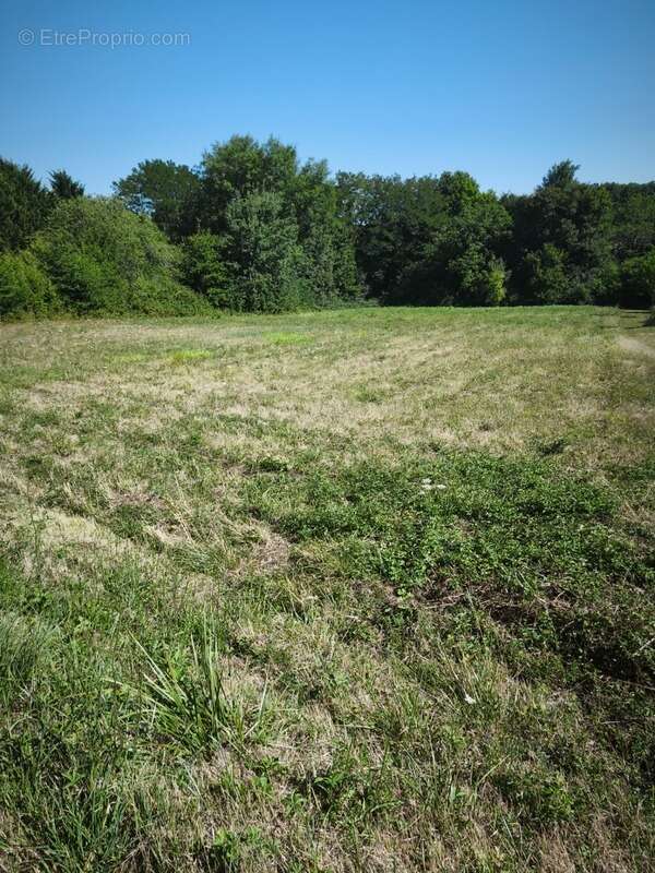Terrain à vendre de 2 728,00 m² ROGNY LES SEPT ECLUSES (89) - photo 2