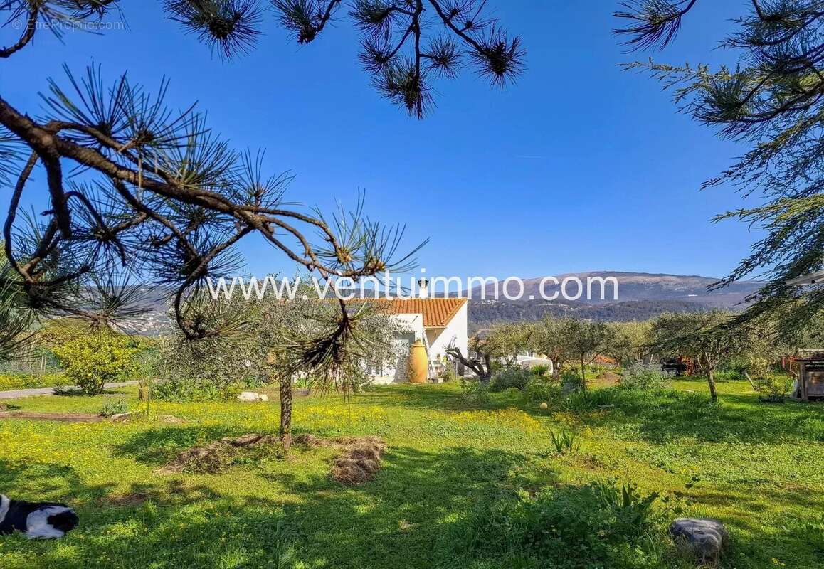 Maison à PEYMEINADE