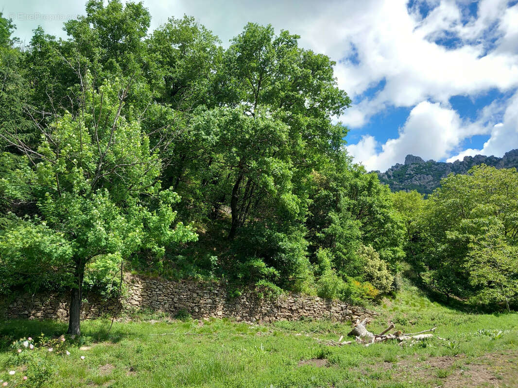 Maison à SAINT-VINCENT-D'OLARGUES